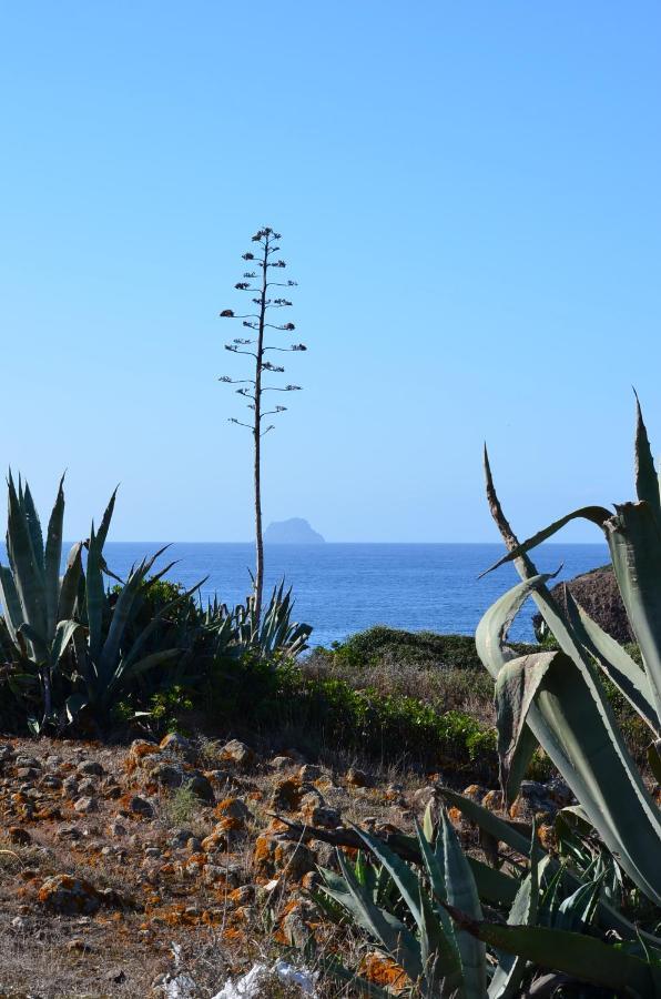 Casa Vacanze Cala Sapone SantʼAntìoco Esterno foto